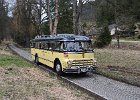 2015.03.29 Saurer 5 GVF-U Chruschtschow Postbus (15)